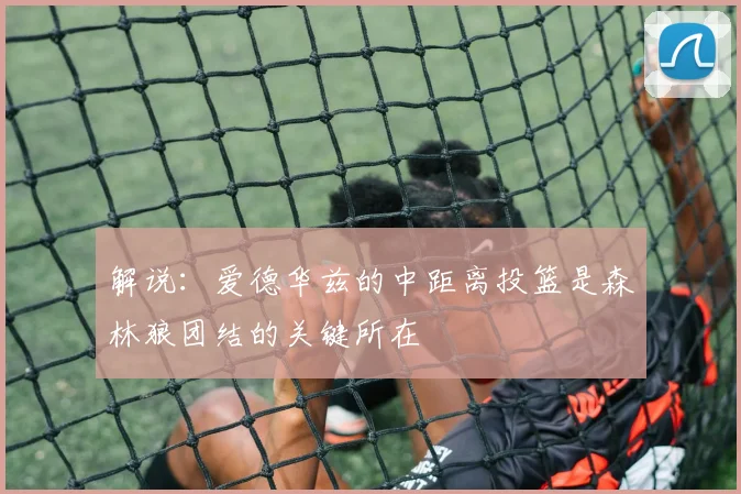 解说：爱德华兹的中距离投篮是森林狼团结的关键所在