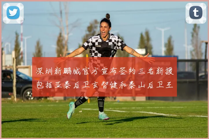 深圳新鹏城官方宣布签约三名新援包括亚泰后卫玄智健和泰山后卫王昱衡